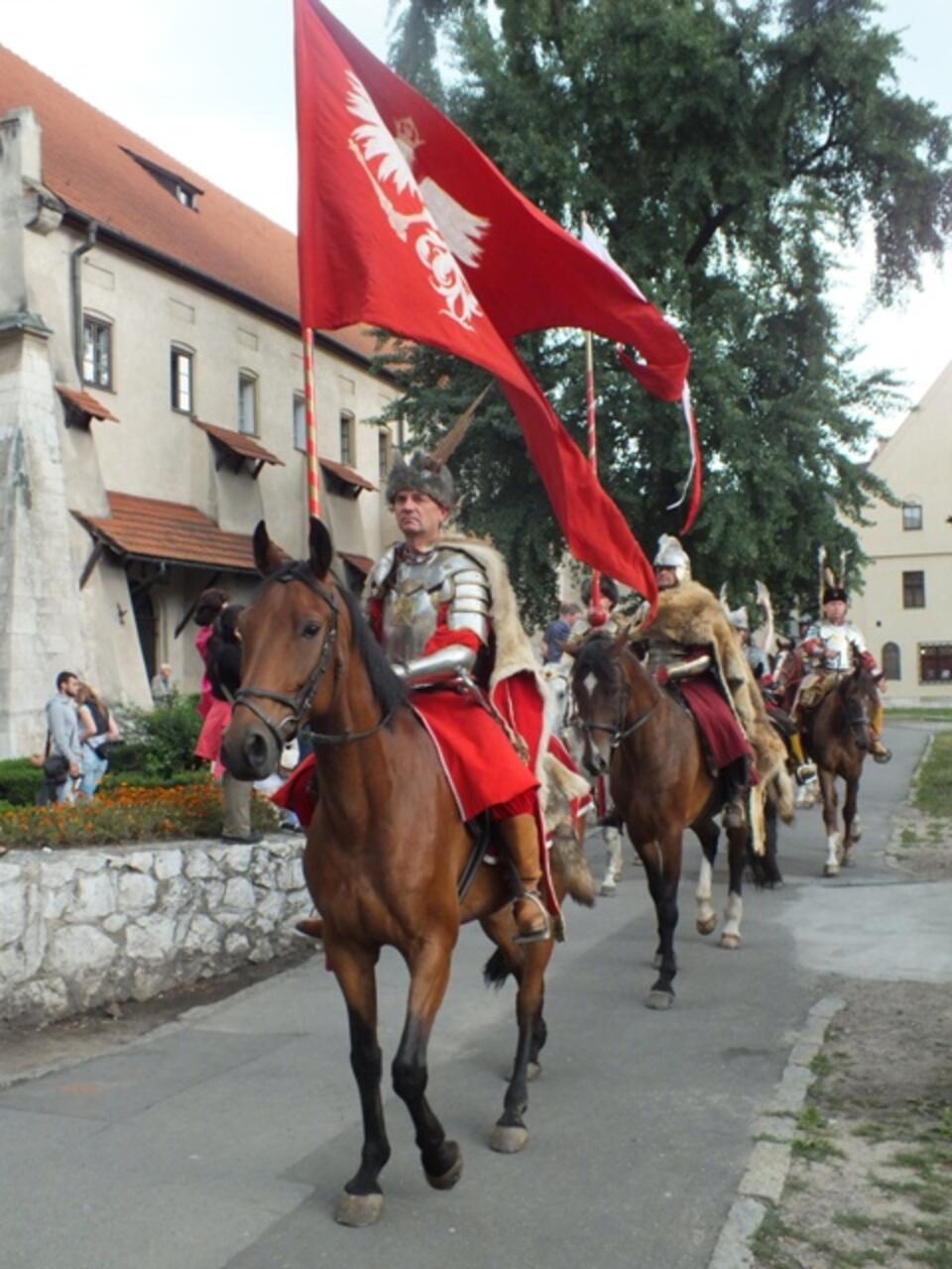 Husaria (Solidarni 2010)