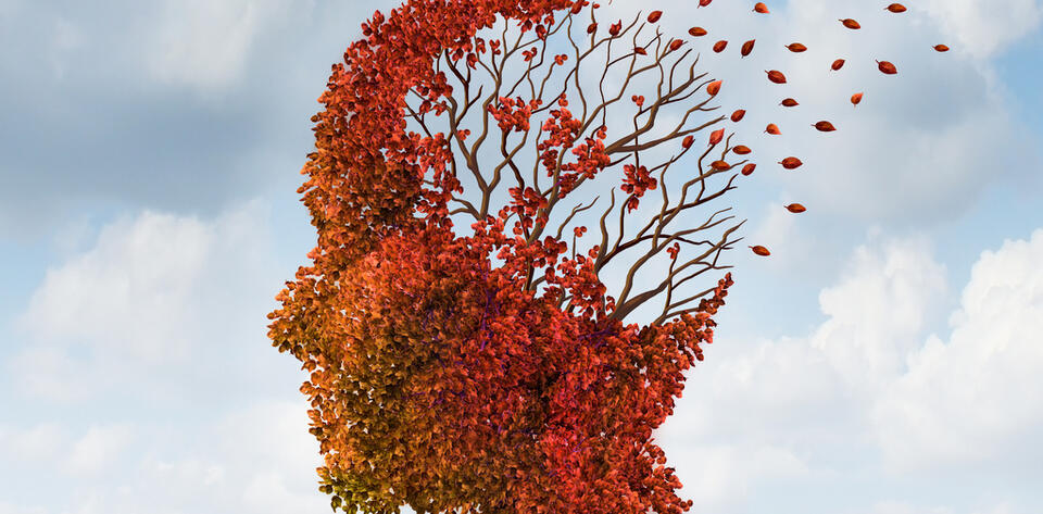 fot. shutterstock