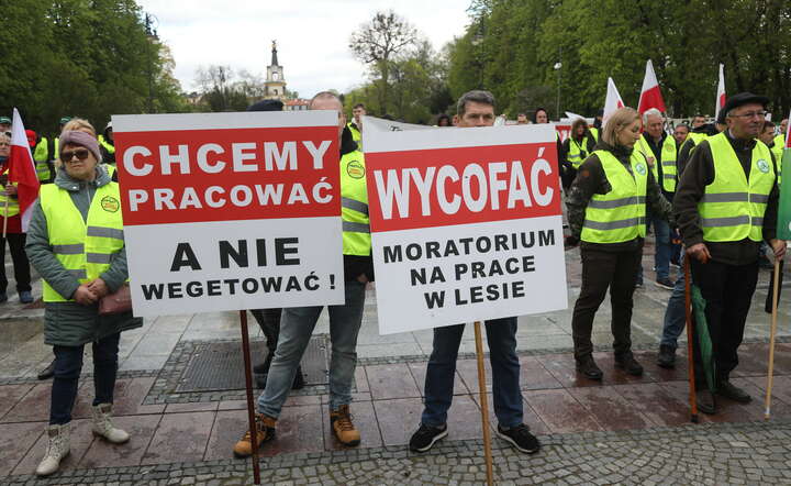 Polacy znów wyszli na ulicę! Protest branży drzewnej