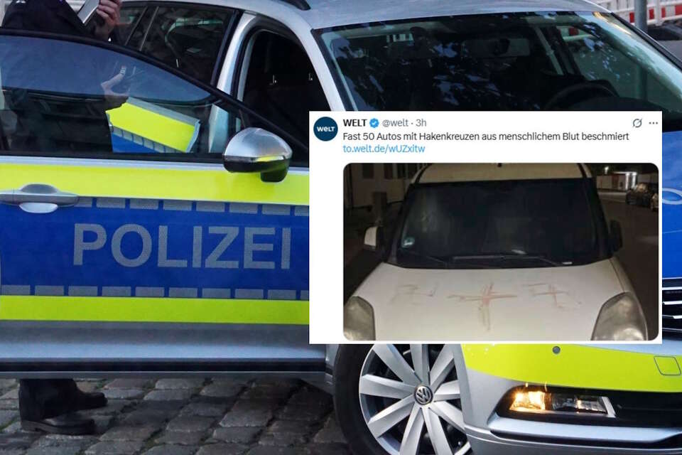 W Niemczech ktoś wymalował swastyki z krwi / autor: Fratria/X-Welt (screen)