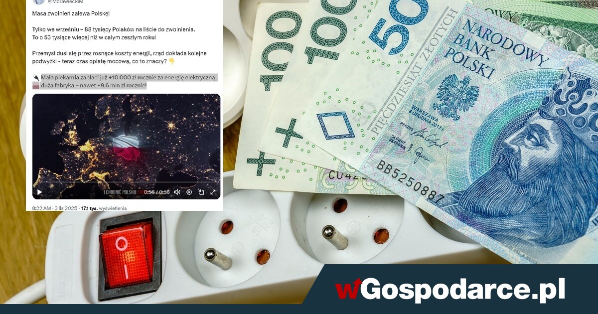 Masa zwolnień zalewa Polskę! To „zielone bezrobocie”