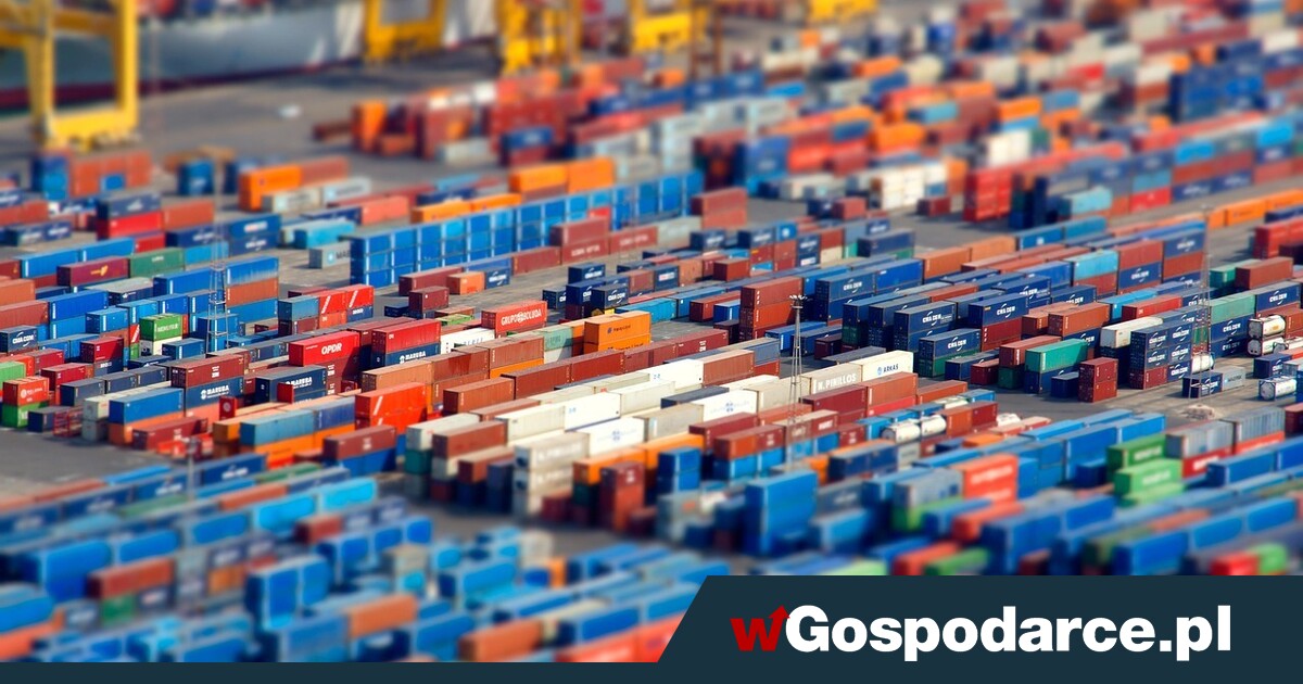 Strzały do Hallera. Przełamać rutynę „niedasizmu”"