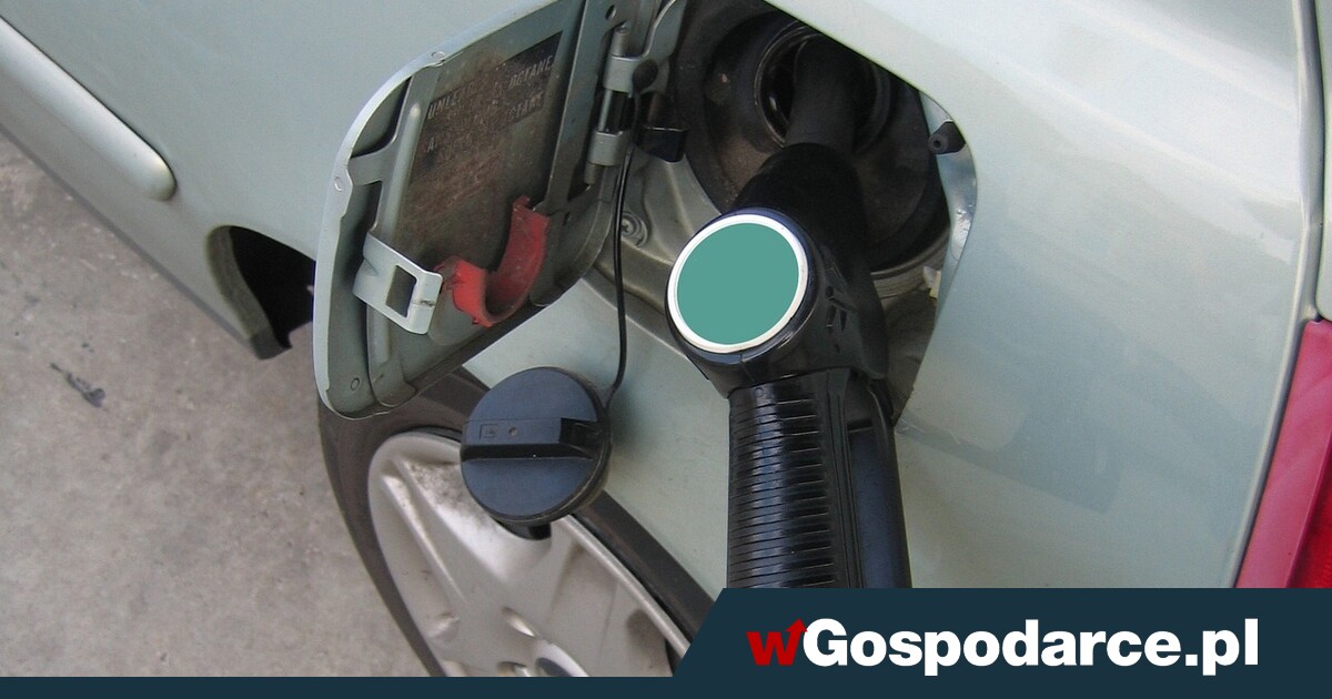 Mamy pełzające podwyżki cen paliw