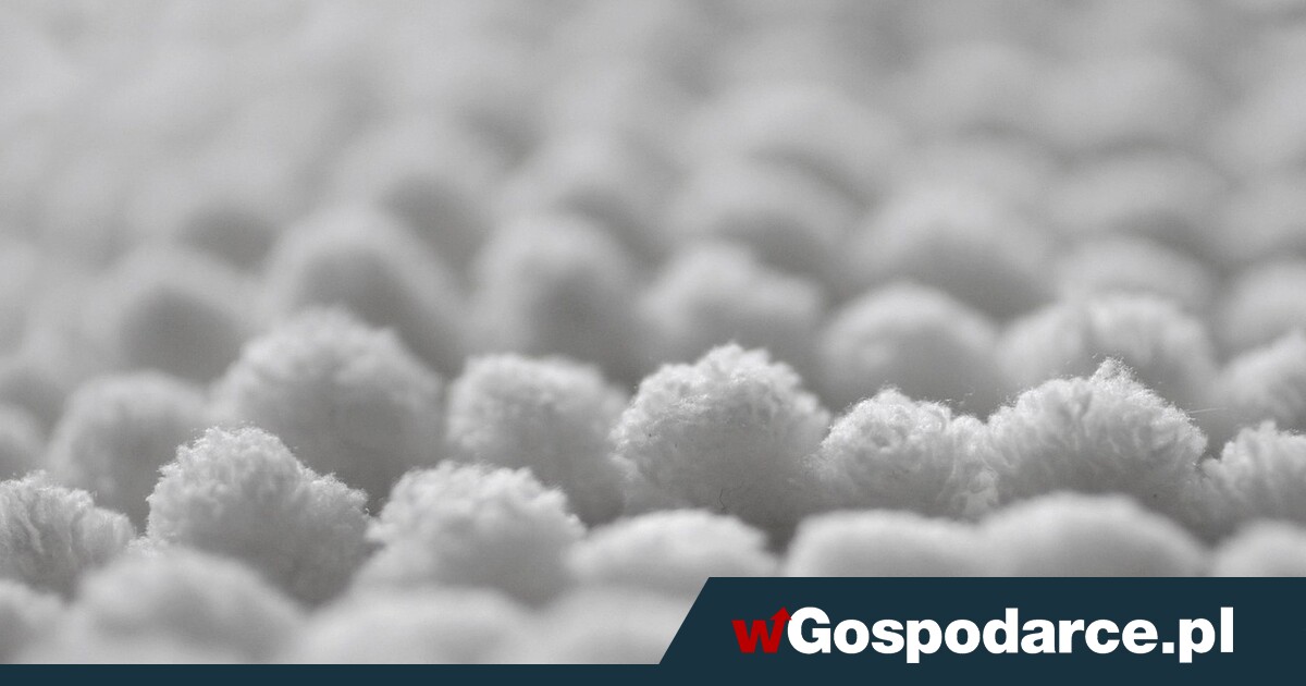 Ukryte możliwości ligniny: to bicz na wirusy