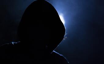 Cyberzagrożenia traktowane są po macoszemu