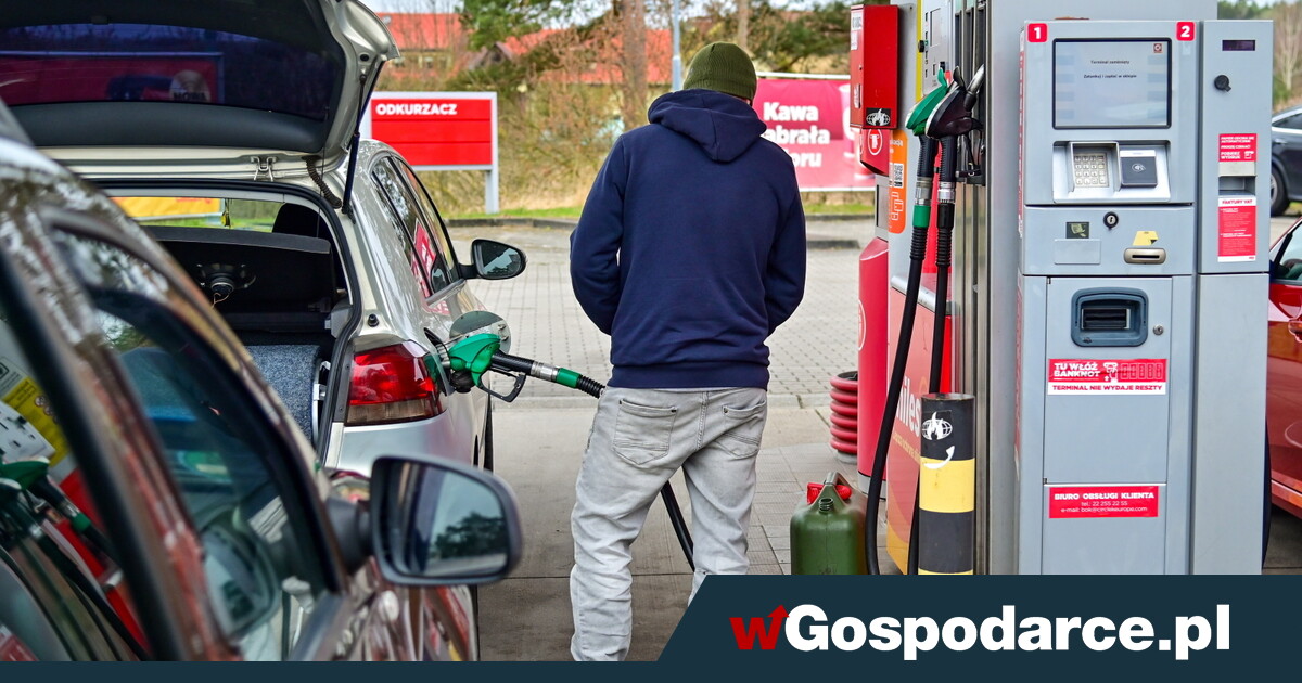Paliwowe zalecenia: jedni ograniczają popyt, drudzy ceny