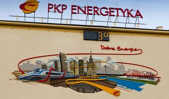 Czy prywatyzacja PKP Energetyka przez rząd Ewy Kopacz była legalna?