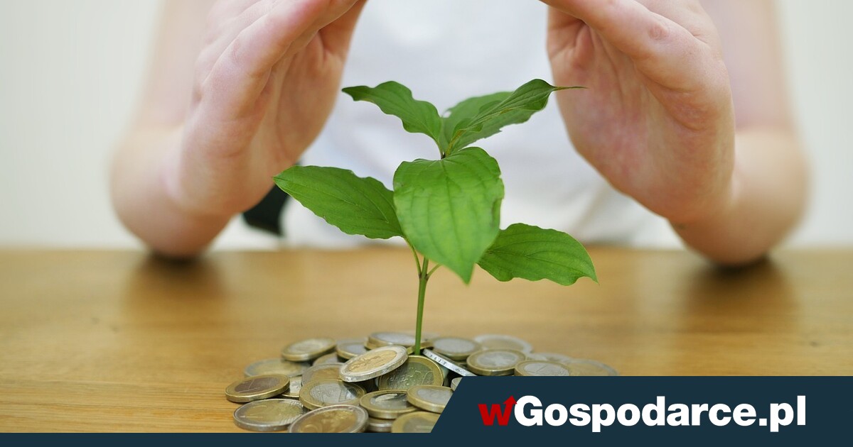 Obligacje z przytupem wróciły do łask