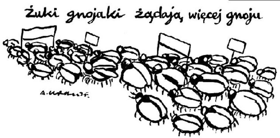 Rys. Andrzej Krauze