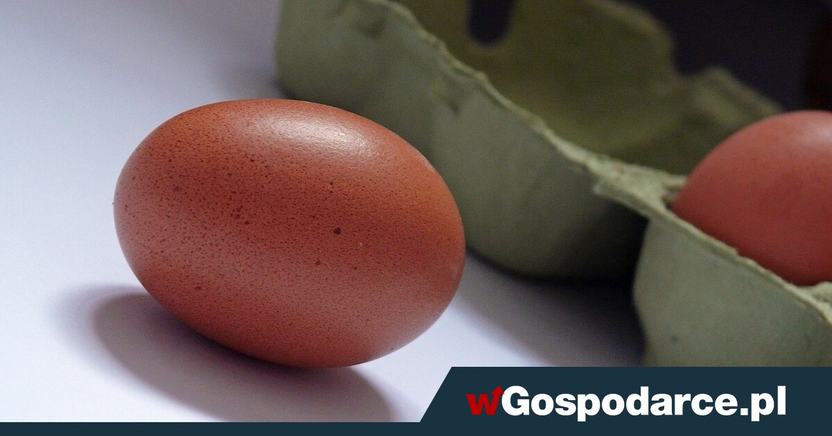 Jajko znowu droższe o 60 proc.! Dlatego jaj brakuje