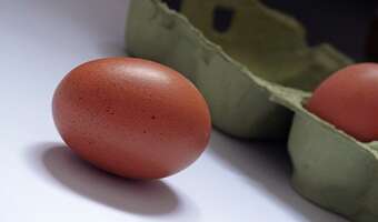 Jajko znowu droższe o 60 proc.! Dlatego jaj brakuje