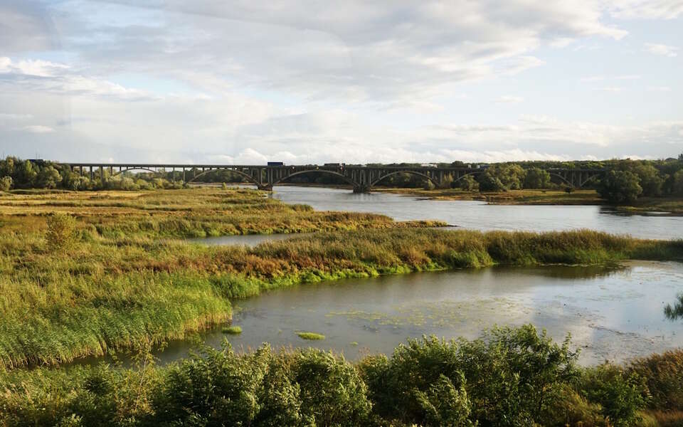 autor: Michał Karnowski