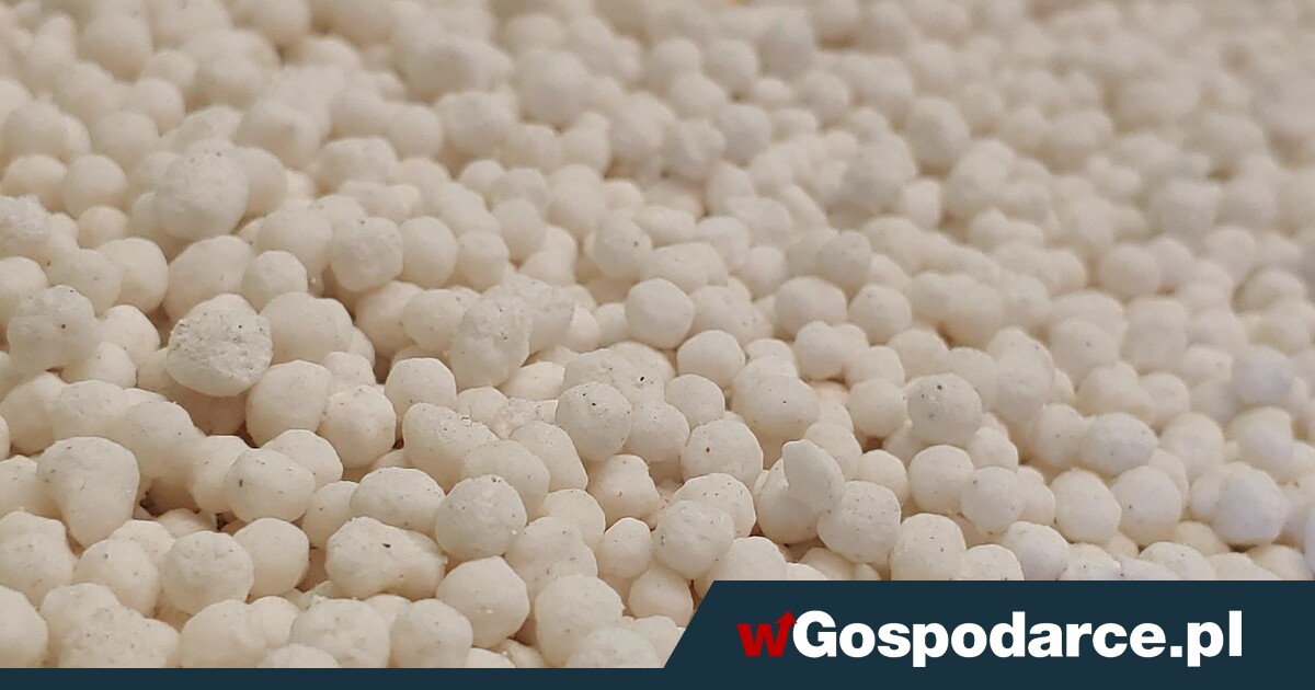 Cios w rolników! Mocznik podrożał aż o 40 proc.