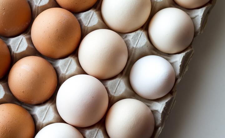 Jesienią jaja będą droższe / autor: Pixabay