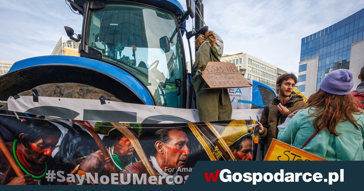 Rolnicy we Francji: umowa z Mercosur? Za żadne skarby