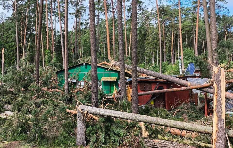 Zniszczenia po przejściu trąby powietrznej na terenie ośrodka wypoczynkowego nad jeziorem Serwent w miejscowości Purda k. Olsztyna / autor: PAP/KW PSP Olsztyn