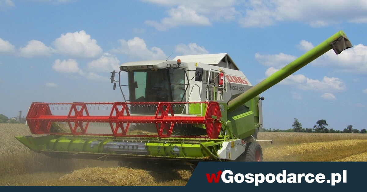 Skandalicznie niskie ceny pszenicy