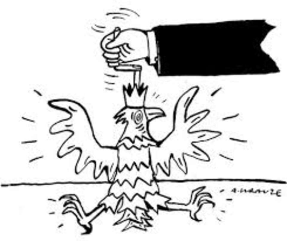wPolityce.pl