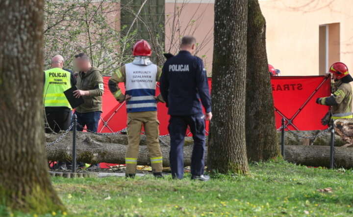 Służby na miejscu tragicznego wypadku w Rabce, gdzie trzy osoby zabiło drzewo powalone wichurą / autor: PAP/Grzegorz Momot