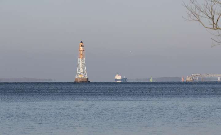 Ujście Odry. ZDJECIE ILUSTRACYJNE / autor: Pixabay