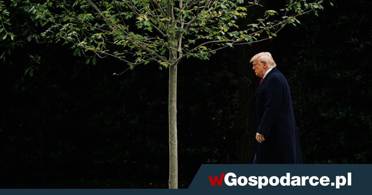 Dobrym przykładem dla nas jest Donald Trump