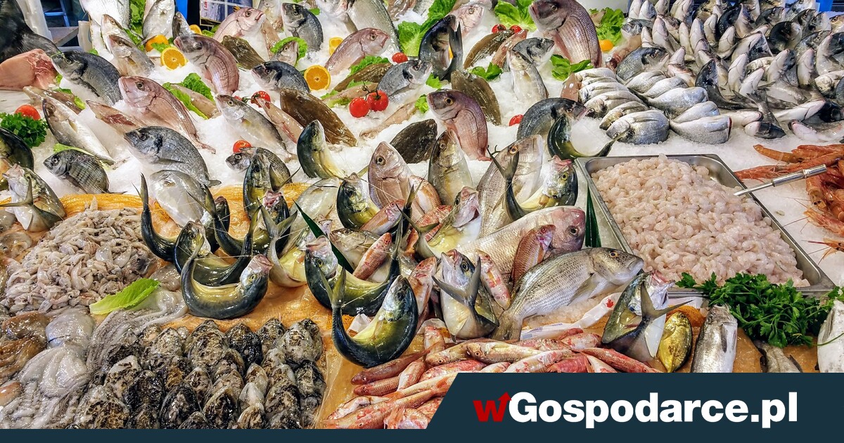 Po jakie ryby i ile sięgać?
