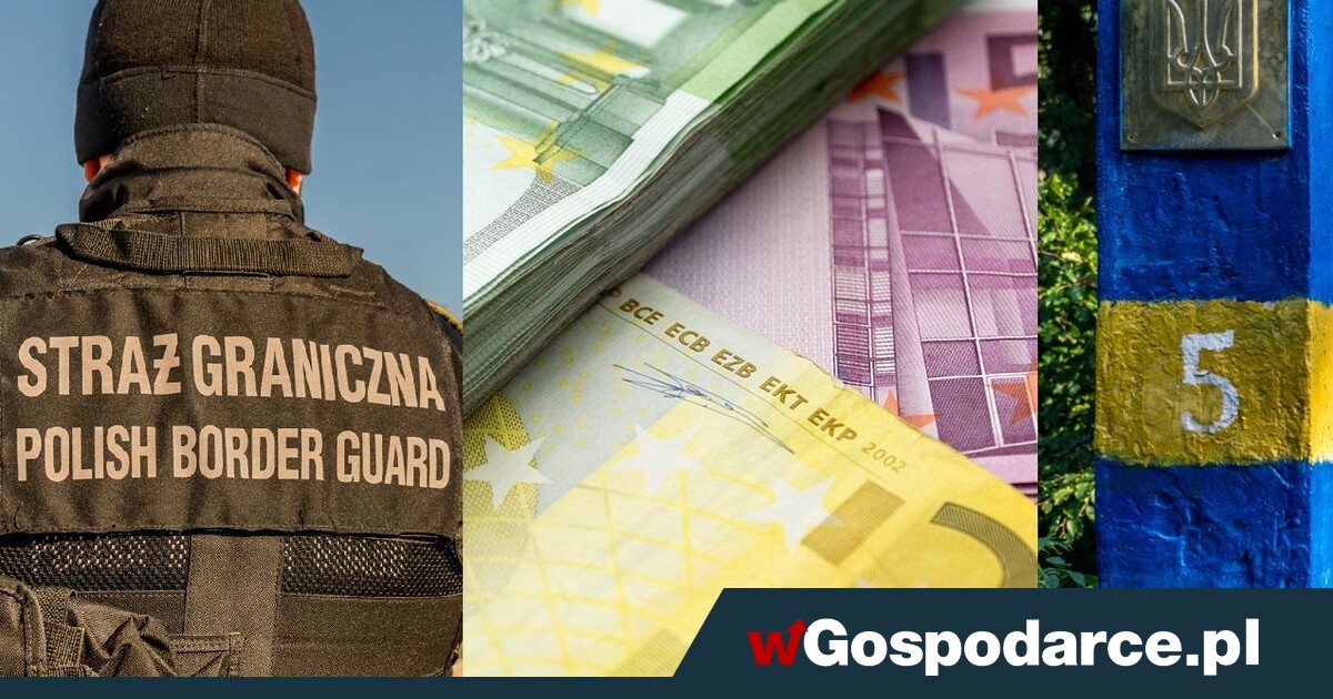 Ukrainka miała w walizce setki tysięcy dolarów