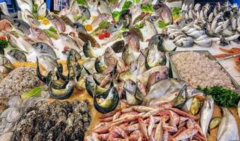 Po jakie ryby i ile sięgać?