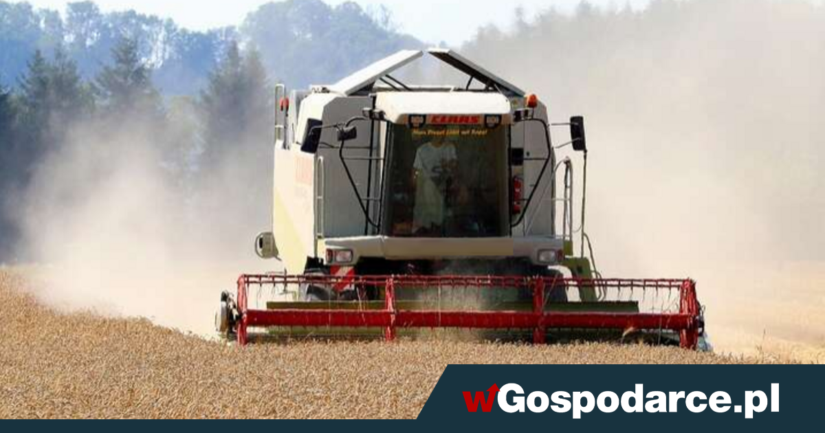 Pobił rekord świata. Sceny jak z filmu science-fiction