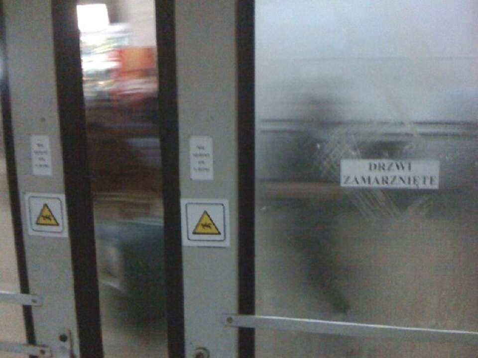 Fot. wPolityce.pl, PB