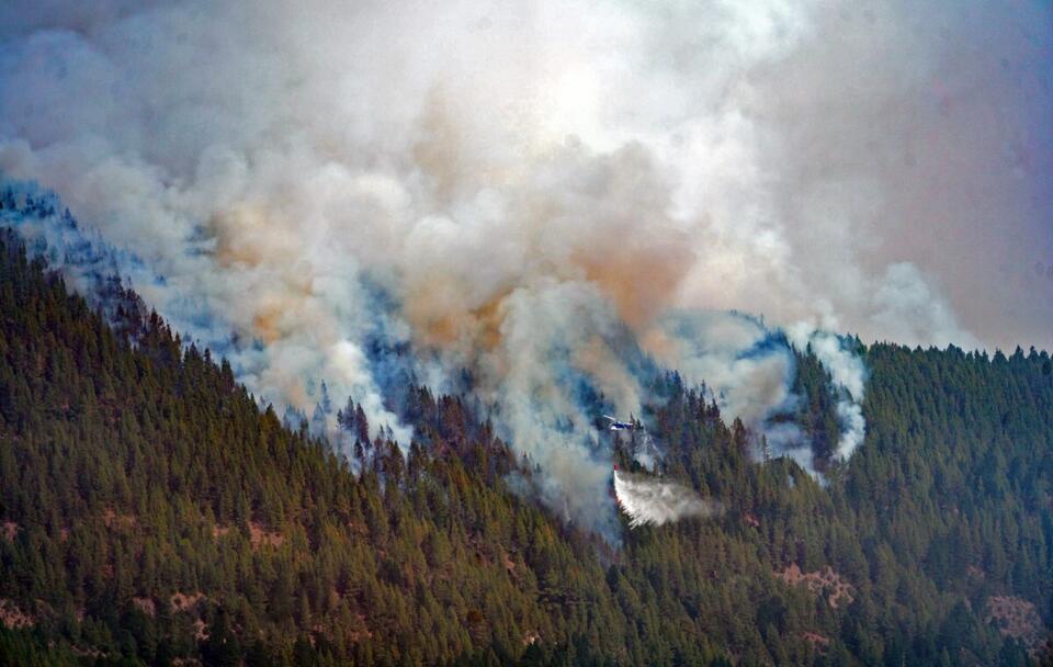 Zdjęcie ilustracyjne/ Pożar lasu na Teneryfie / autor: PAP/EPA/Ramon de la Rocha