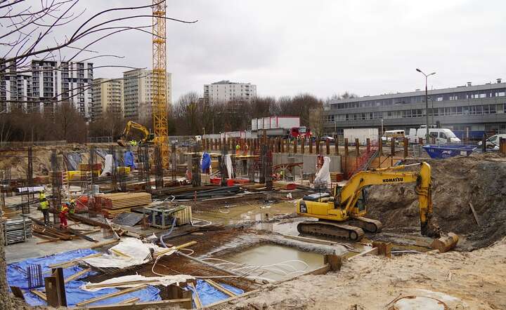 Najwyższy udział firm krajowych, zarówno pod względem liczby firm, jak i przychodów, występuje w budownictwie / autor: Fratria / MK