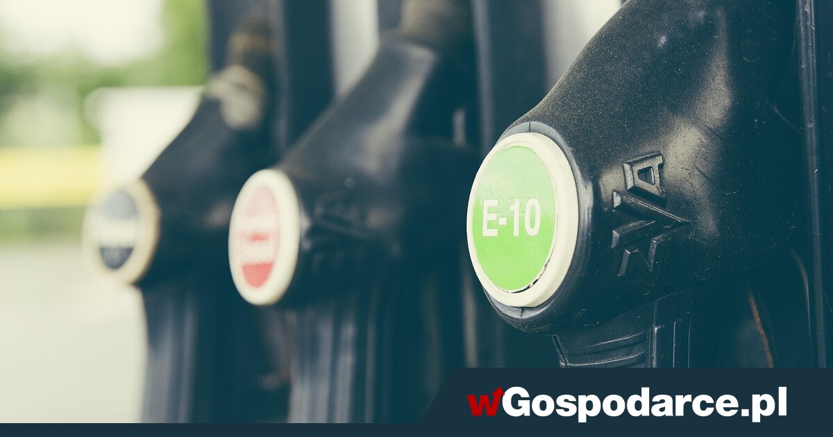 Kolejne biododatki w paliwie?