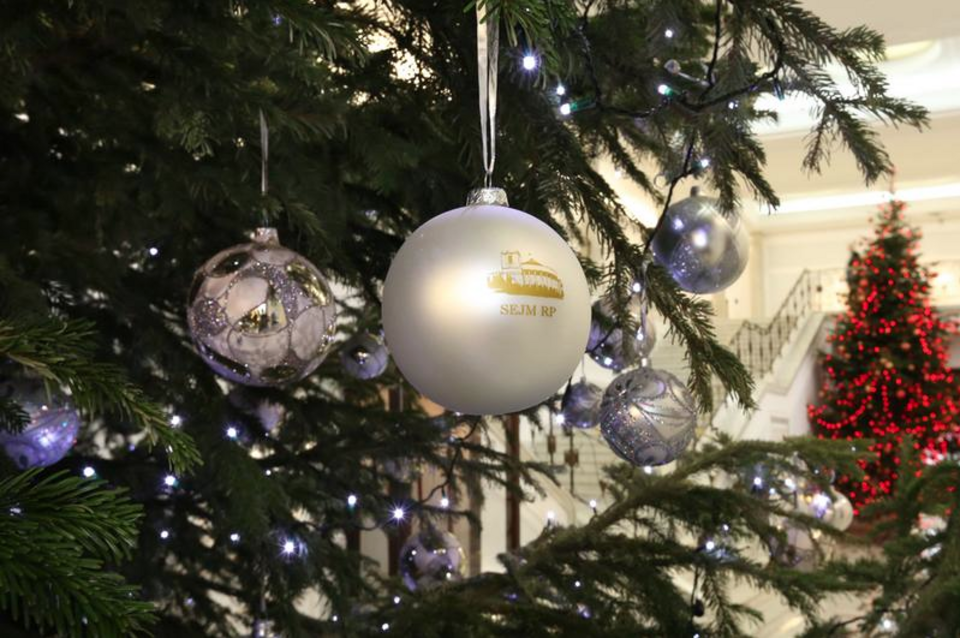 fot. sejm.gov.pl/Krzysztof Białoskórski