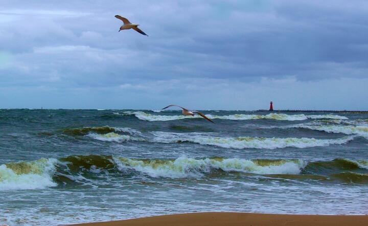 Na Bałtyku wystąpi sztorm o sile dziewięciu stopni w skali Beauforta / autor: Pixabay