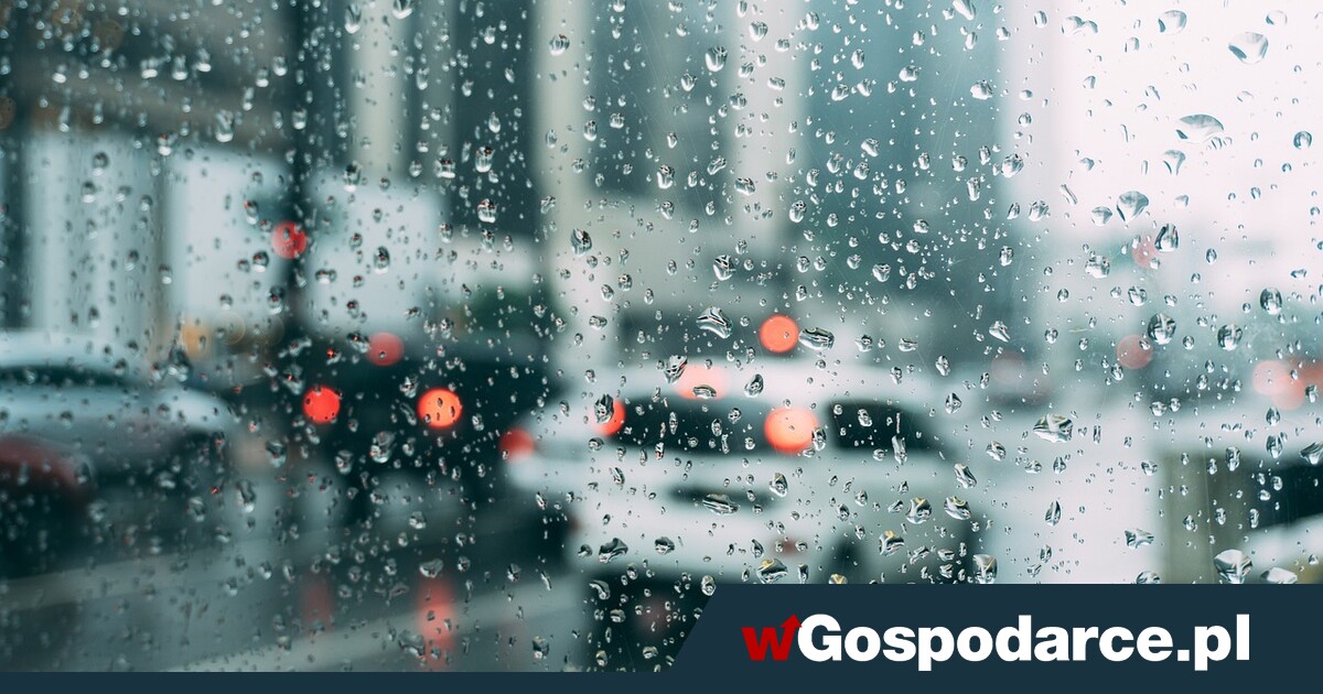 Import używanych aut. Polacy kupują na potęgę!"