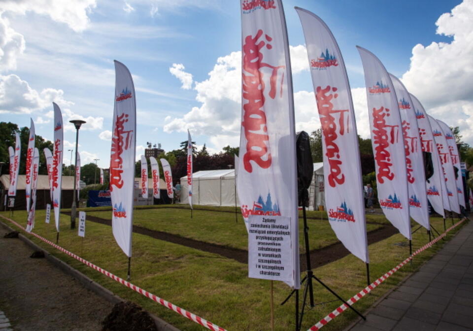 fot. PAP/Maciej Kulczyński