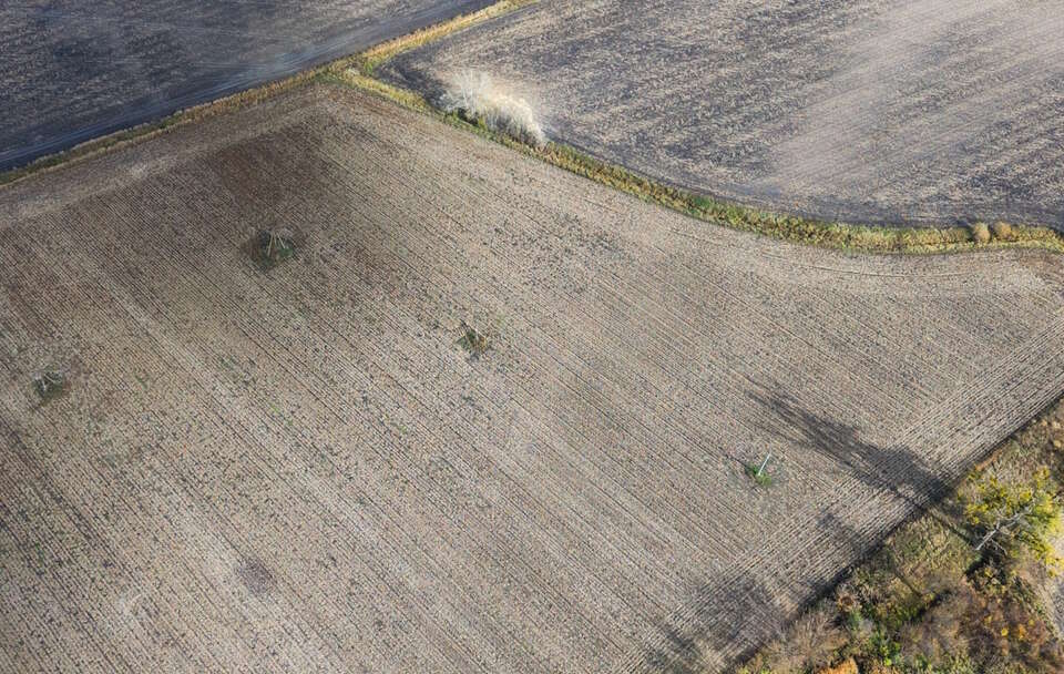 Działka w Zabłotni / autor: PAP/Leszek Szymański