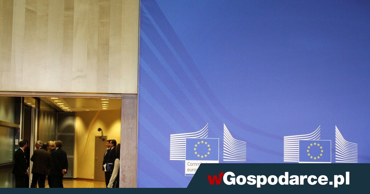 USA karzą „piątkę cenzorów” z Europy