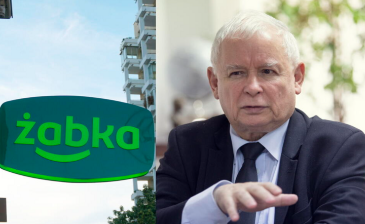 Żabka/Jarosław Kaczyński / autor: Fratria
