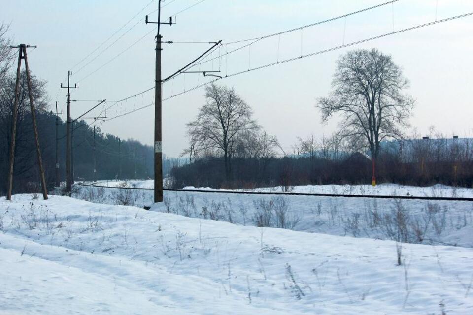 Fot. wPolityce.pl