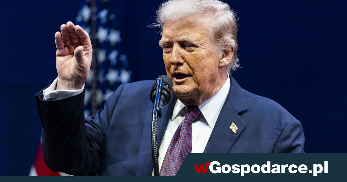 Od poniedziałku minerały importowane z Afryki zwolnione z ceł