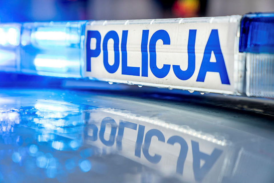 Policja / autor: Fratria