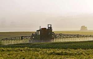 Zdjęcie ilustracyjne / autor: pixabay.com