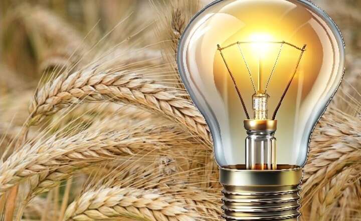 Zboże (przede wszystkim ziarno pszenicy i żyta) można wykorzystać jako biomasę do produkcji ciepła i energii elektrycznej / autor: Pexels, montaż GS