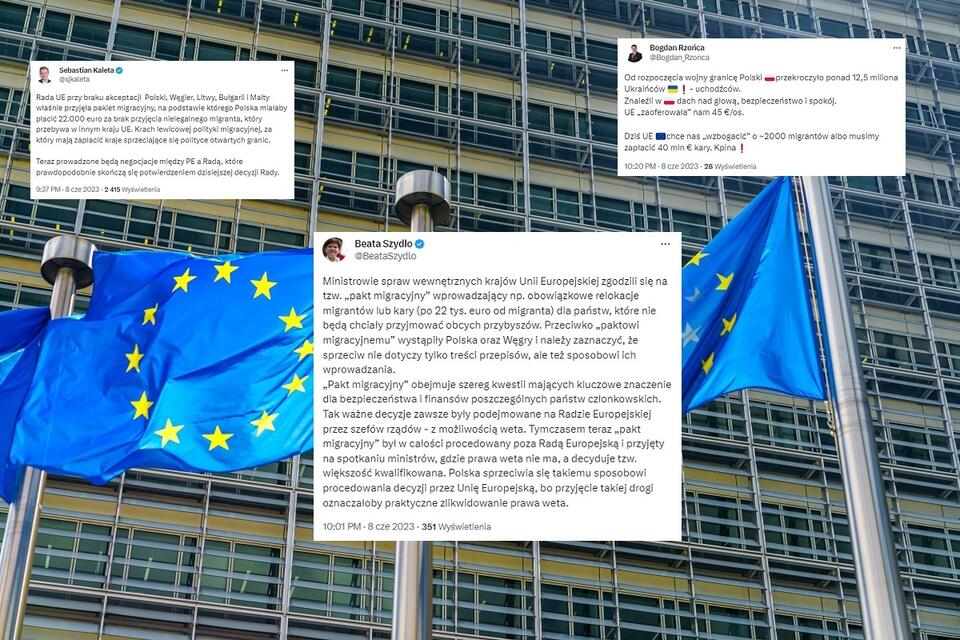 W tle flagi UE (zdj. ilustracyjne) / autor: Fratria/Twitter
