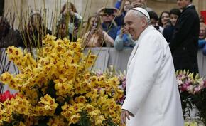 Po 35 latach papieskie Urbi et Orbi bez kwiatów z Holandii