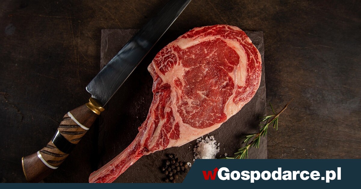 Jakie mięso najlepsze do przygotowania zupy?