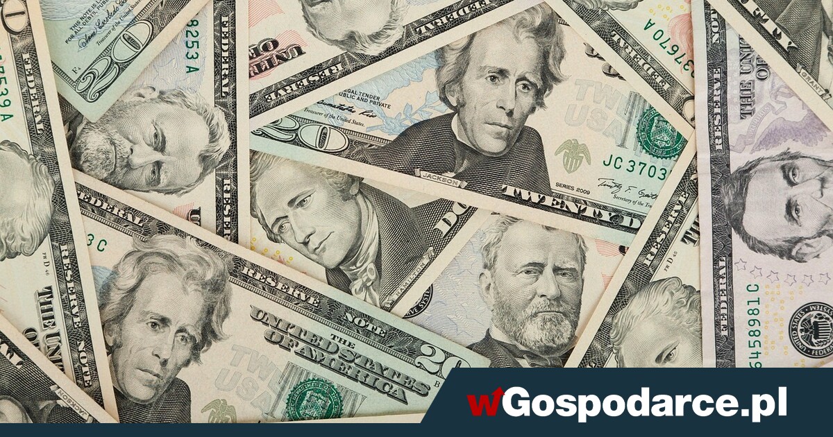 Dolar traci po obniżce Rezerwy Federalnej