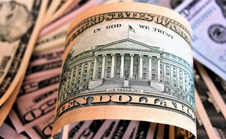 Fed kontroluje łącznie 18,5 proc. zadłużenia USA i przez kilkanaście miesięcy był graczem numer jeden na rynku obligacji / autor: Pixabay